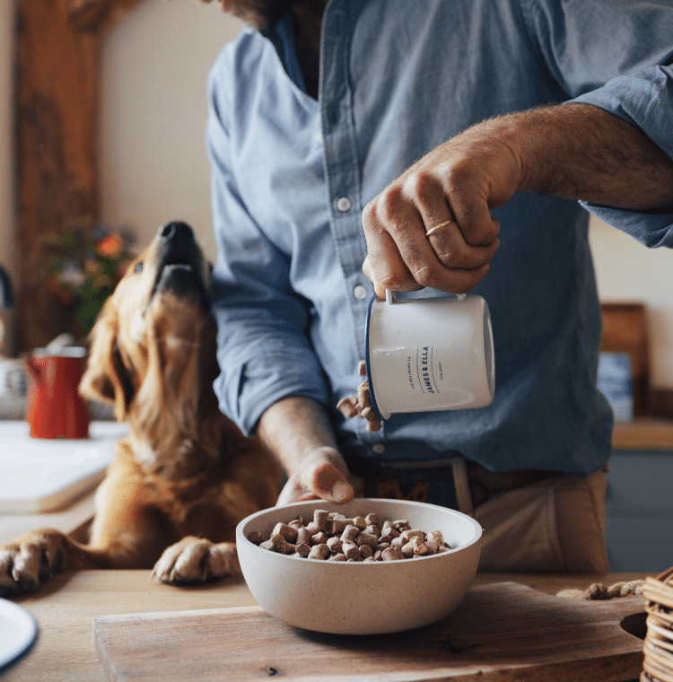 James Middleton stands at counter pouring Freeze-dried raw dog food into a bowl, whilst his Golden retriever looks up at him hungrily