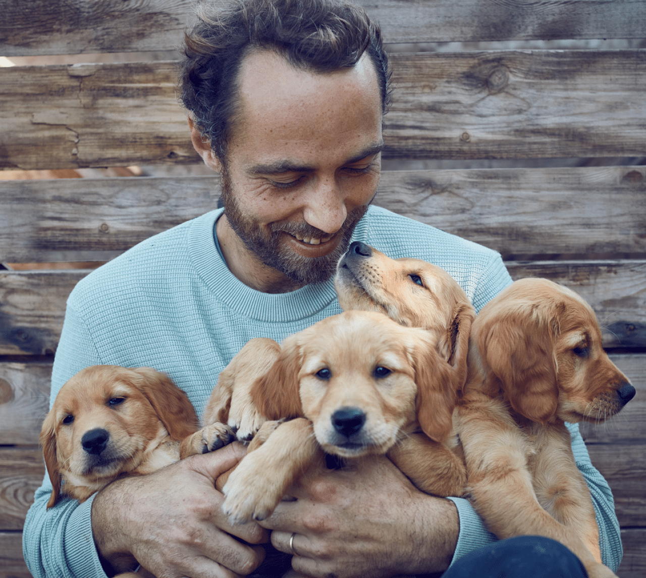 James Middleton holding 4 golden retriever puppies and looking down smiling at them