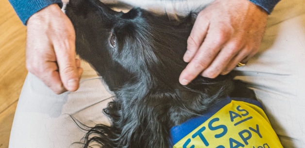 A therapy dog, Ella, wearing a Pets as Therapy bib, sits in the lap of her owner, James Middleton