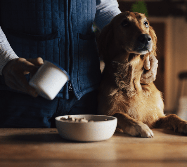 James Middleton pouring freeze-dried raw food into his golden retrievers bowl