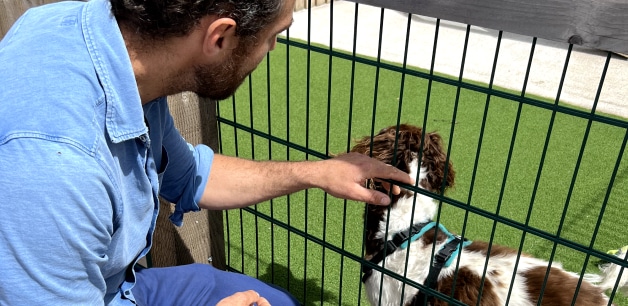 James Middleton at dogs trust crouched down stroking rescue dog