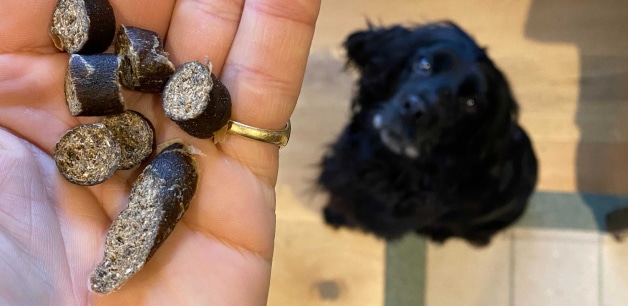 Ella looking up at treats in James middleton's hand