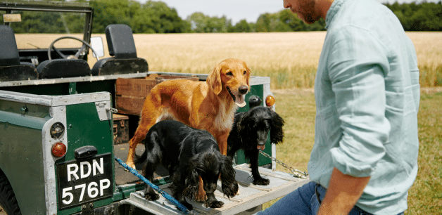 James Middleton and his dogs in the back of a Land Rover vehicle