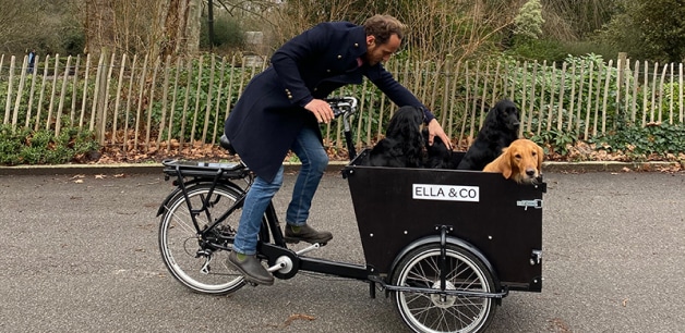 James middleton cyclling on a dog basket bike with his dogs