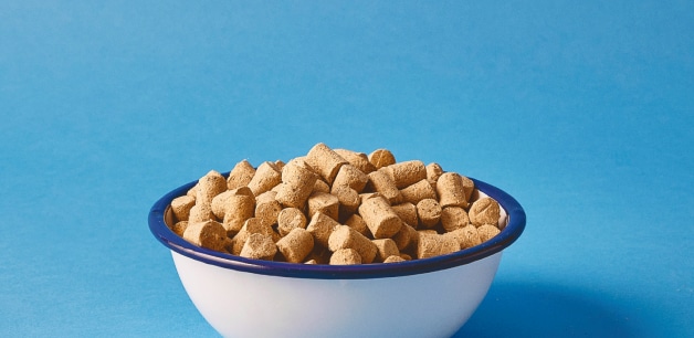 Freeze-dried raw dog food nuggets in a bowl with a blue background