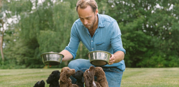 James middleton kneeling holding two bowls of dog food surrounded by hungry cocker spaniel puppies