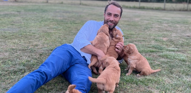 James Middleton being smothered by puppies on lawn