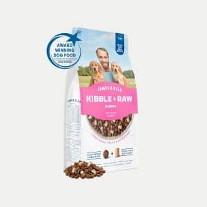 Kibble + Raw for Puppies