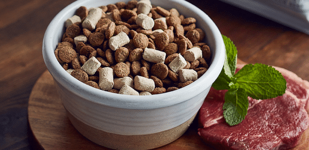 A bowl of Kibble + raw sits on a board surrounded by raw ingredients