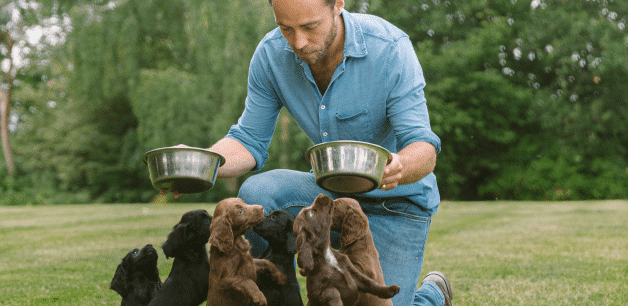 James Middleton feeds his cocker spaniel puppies a nutritious diet