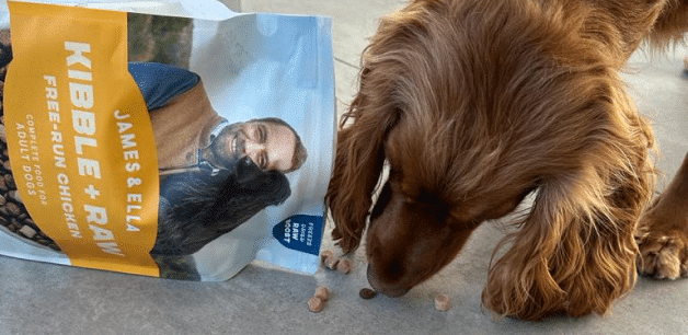 A cute cocker spaniel dog eats from a spilled bag of James & Ella's Kibble + Raw