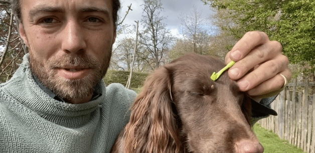 james middleton removing a tick from dog