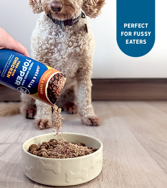 fussy dog enjoys bowl of food with freeze-dried raw toppers