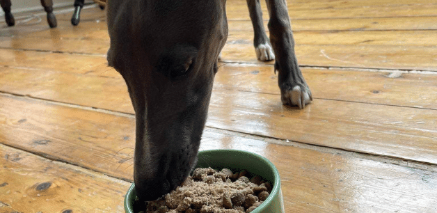 dog eating freeze-dried raw topper on food in bowl