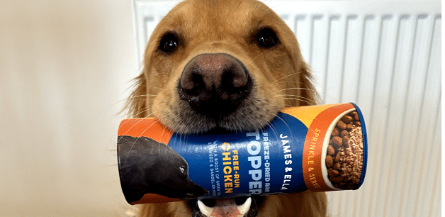 golden retriever holding a tube of freeze-dried raw topper in mouth