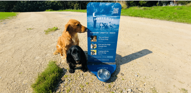 James Middleton's dogs sitting in front of dog water bowl station on a walk