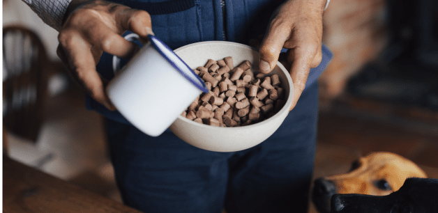 James & Ella's hypoallergenic food in a bowl