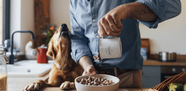 James Middleton pouring hyopallergenic freeze-dried raw food into a bowl in front of a golden retriever looking up at him