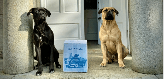 Two big dogs next to a James & Ella subscription box