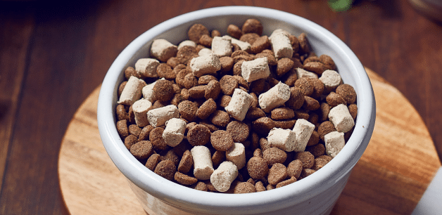 James & Ella's hypoallergenic Kibble + Raw dog food