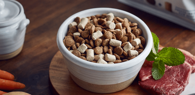 kibble + Raw food in bowl for strong immune system