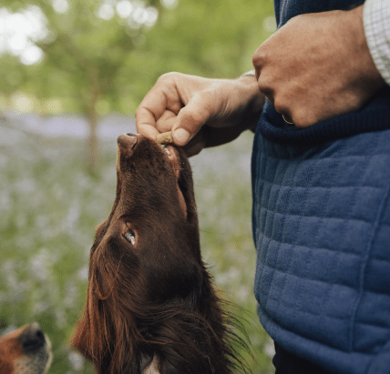 james middleton giving his dog a freeze-dried treat