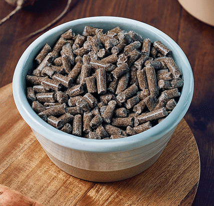 cold-pressed novel protein dog food in a bowl
