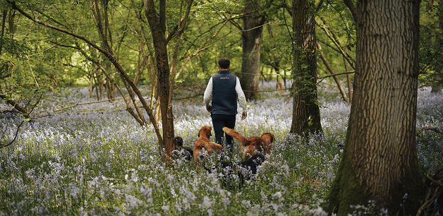 james middleton in woodland hiking with his dogs