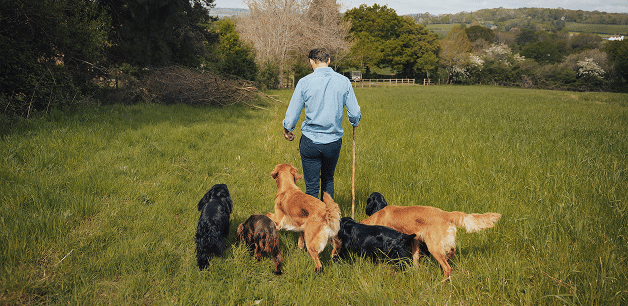 james middleton walking away from camera hiking with his dogs at his feet