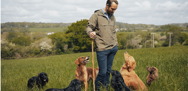 James middleton briefly paused on hiking route, looking down at his dogs