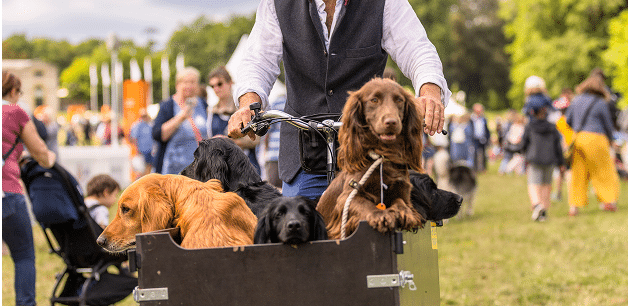James middleton with dogs in cargo bike
