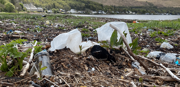 dog poo bags littered on a beach