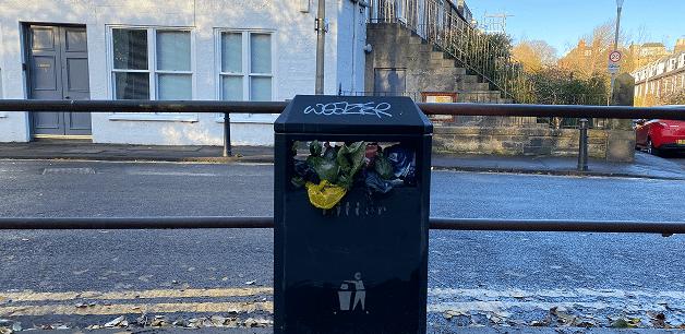 general waste bin overflowing with plastic dog poo bags