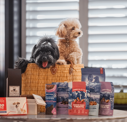 two dogs with the great outpaws giveaway prizes