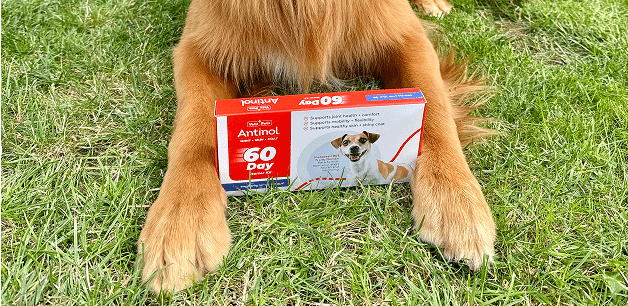 A packet of Antinol capsules on the grass with two dog legs either side