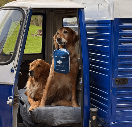 two golden retrievers holding a pet first aid kit