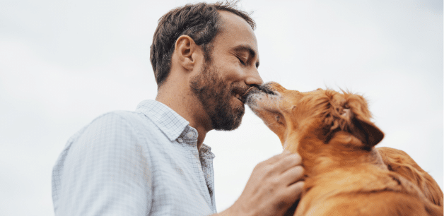 James Middleton smiling as one of his working cocker spaniels licks his face during a countryside walk