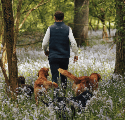 James Middleton walking with his working cocker spaniels on an early morning countryside walk