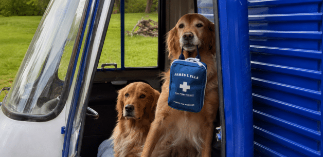 two dogs with a pet first aid kit 