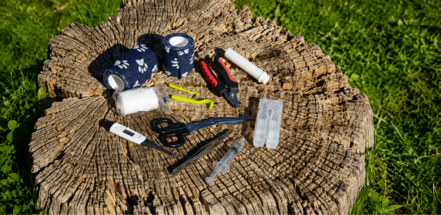 James & Ella Pet First Aid Kit for Dogs what's inside 