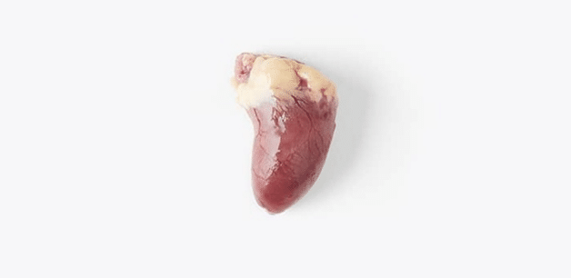 a chicken heart 