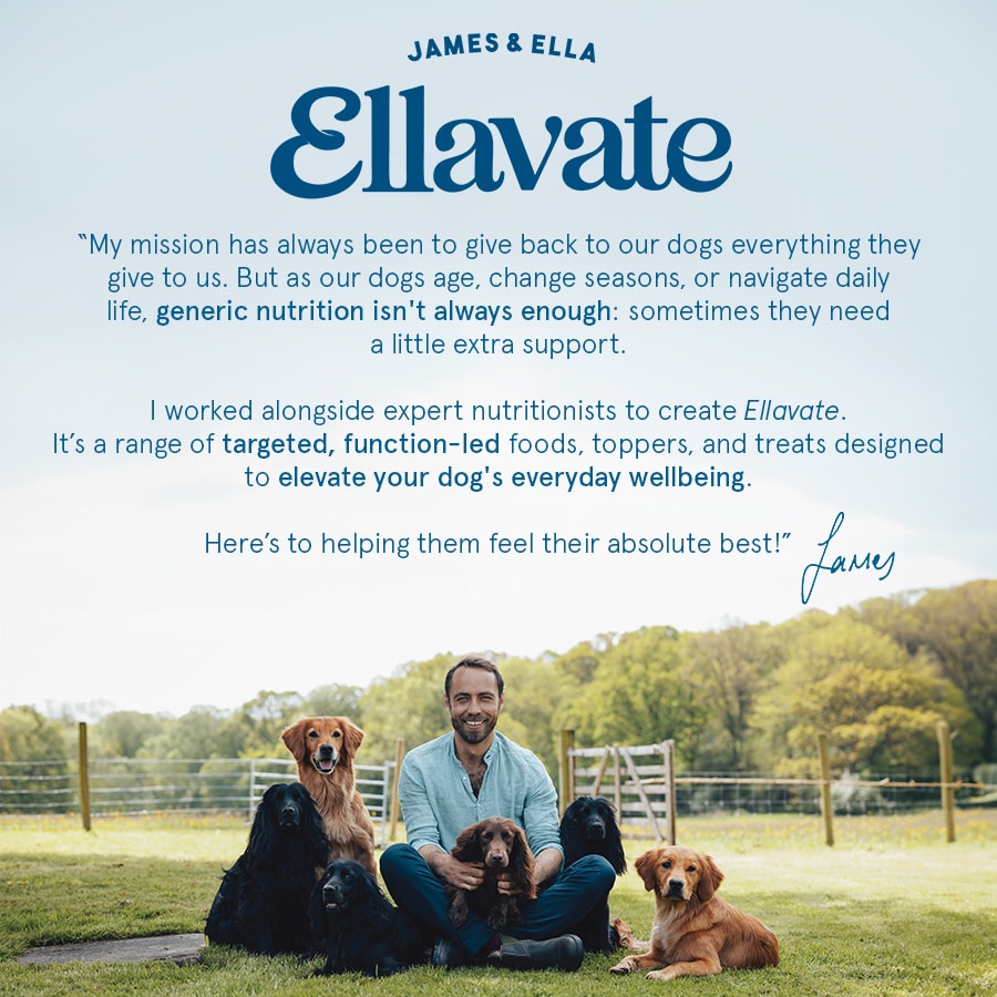 Ellavate Functional Raw Coated