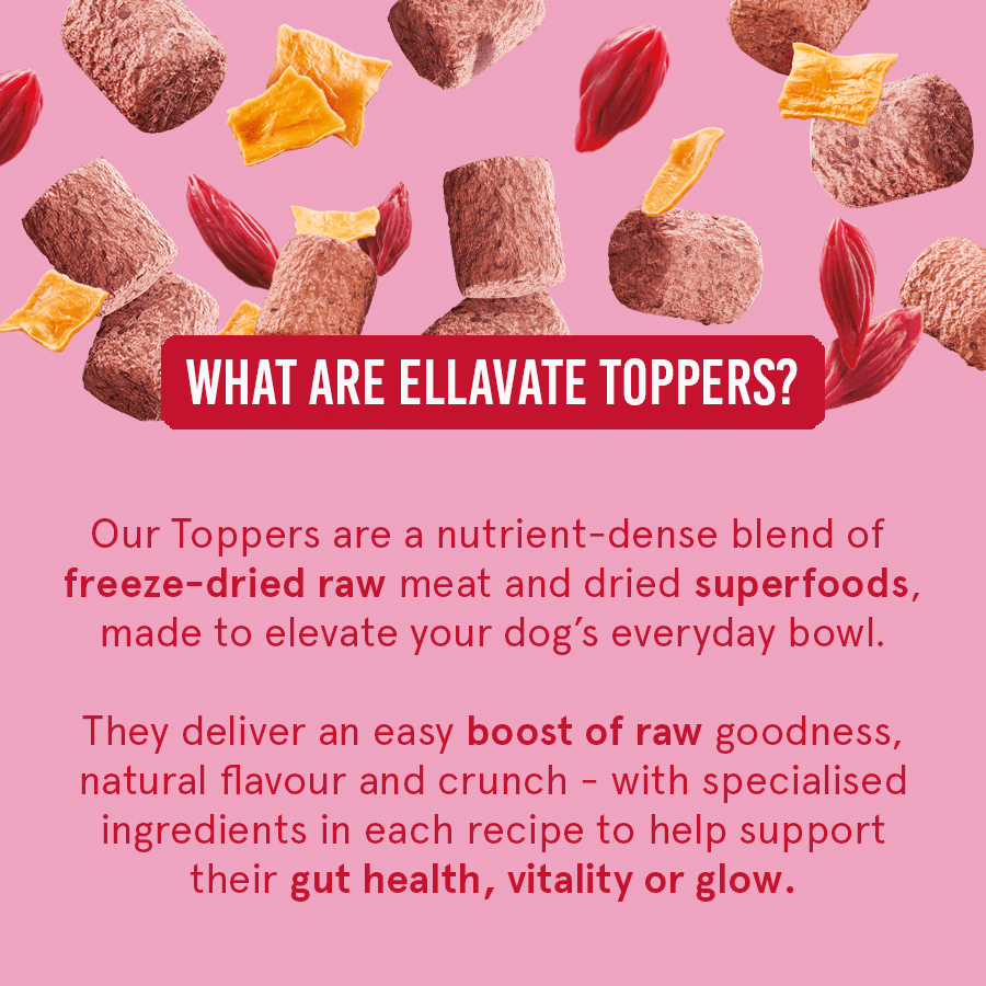 Ellavate Functional Toppers
