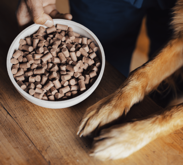 A rustic ceramic bowl on chopping board with golden retriever paws next to it filled with James & Ella's Freeze-dried natural dog food